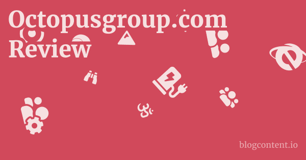 Octopusgroup.com Review 1 by Partners