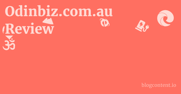 Odinbiz.com.au Review 1 by Partners