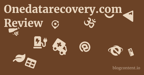 Onedatarecovery.com Review 1 by Partners