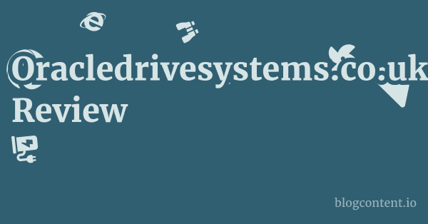 Oracledrivesystems.co.uk Review 1 by Partners