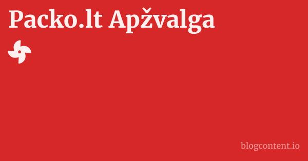 Packo.lt Apžvalga 1 by Partners