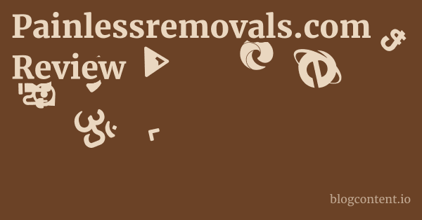 Painlessremovals.com Review 1 by Partners
