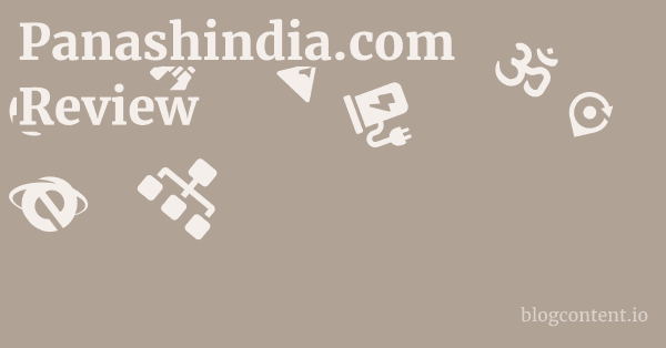 Panashindia.com Review 1 by Partners