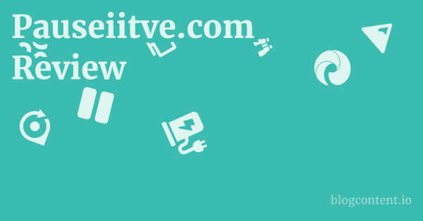 Pauseiitve.com Review 1 by Partners