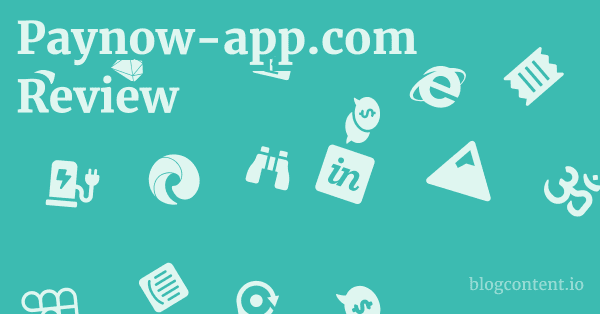 Paynow-app.com Review 1 by Partners