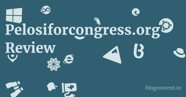 Pelosiforcongress.org Review 1 by Partners
