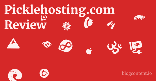 Picklehosting.com Review 1 by Partners