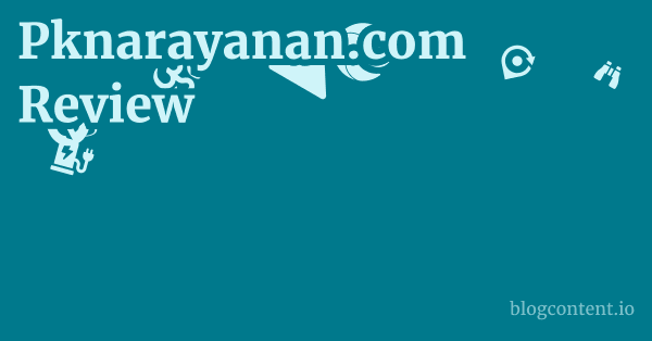 Pknarayanan.com Review 1 by Partners