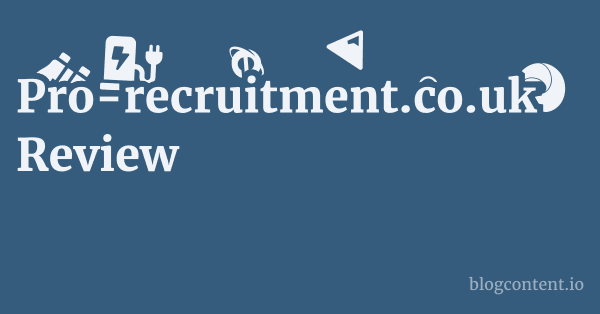 Pro-recruitment.co.uk Review 1 by Partners