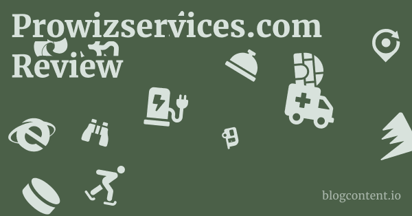 Prowizservices.com Review 1 by Partners