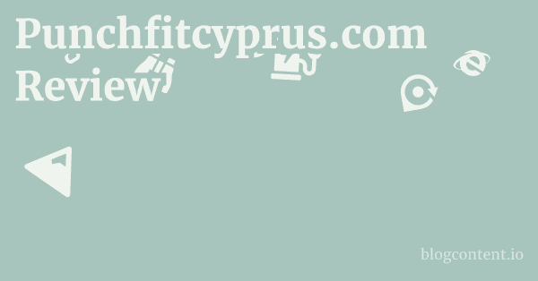 Punchfitcyprus.com Review 1 by Partners