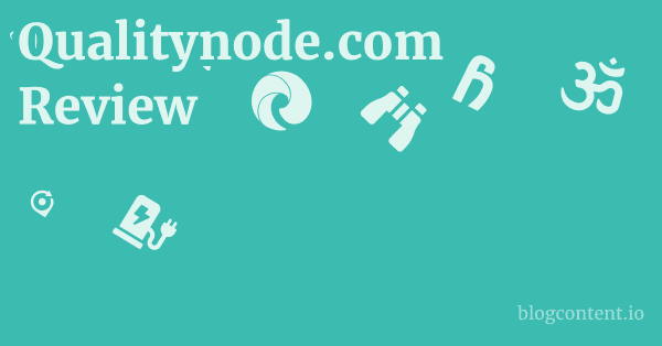 Qualitynode.com Review 1 by Partners