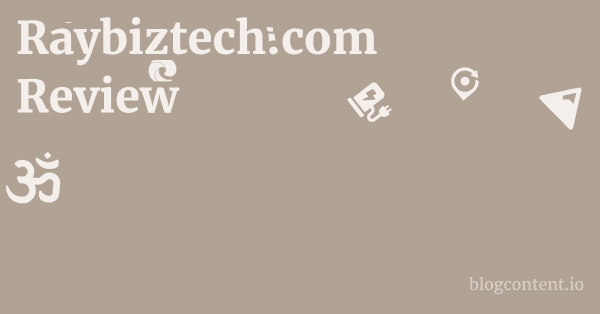 Raybiztech.com Review 1 by Partners