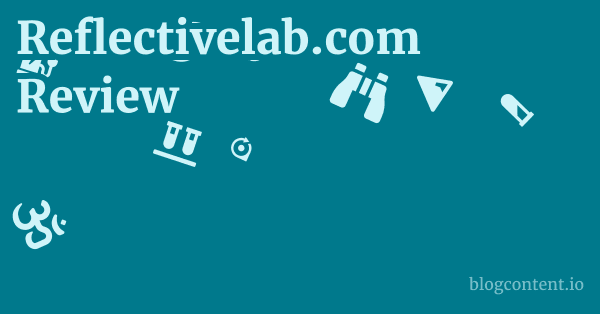 Reflectivelab.com Review 1 by Partners
