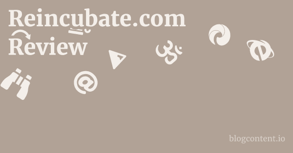 Reincubate.com Review 1 by Partners