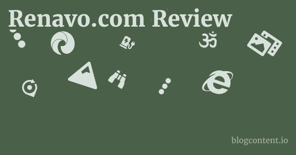 Renavo.com Review 1 by Partners