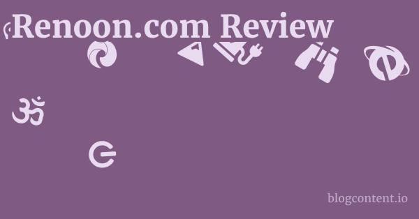 Renoon.com Review 1 by Partners