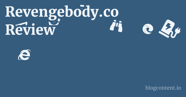 Revengebody.co Review 1 by Partners