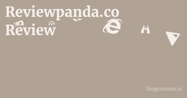 Reviewpanda.co Review 1 by Partners