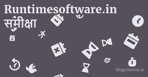 Runtimesoftware.in समीक्षा 1 by Partners