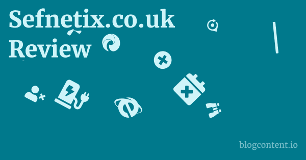 Sefnetix.co.uk Review 1 by Partners