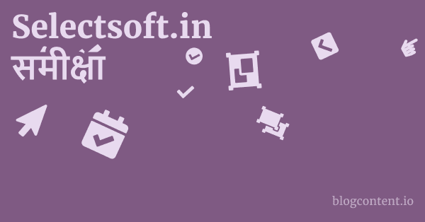 Selectsoft.in समीक्षा 1 by Partners