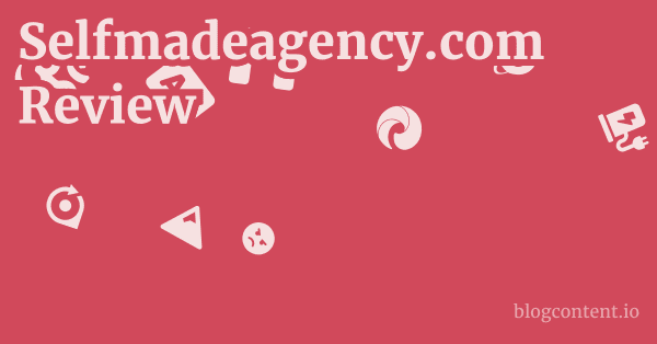 Selfmadeagency.com Review 1 by Partners
