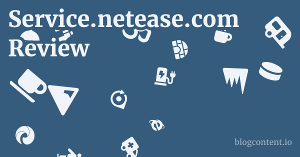 Service.netease.com Review 1 by Partners