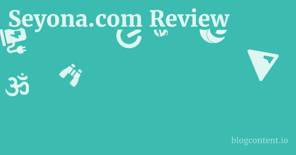 Seyona.com Review 1 by Partners