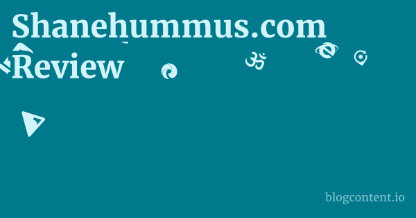 Shanehummus.com Review 1 by Partners