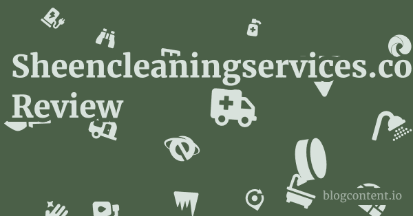 Sheencleaningservices.co.uk Review 1 by Partners
