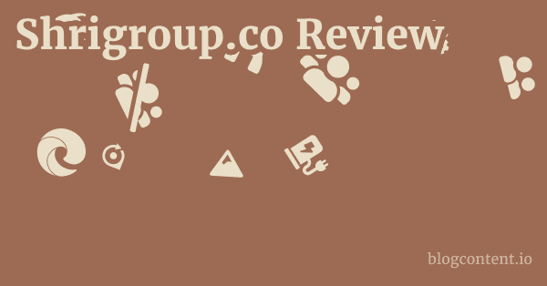 Shrigroup.co Review 1 by Partners
