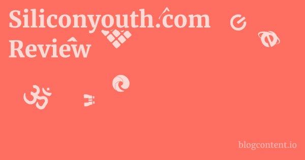 Siliconyouth.com Review 1 by Partners
