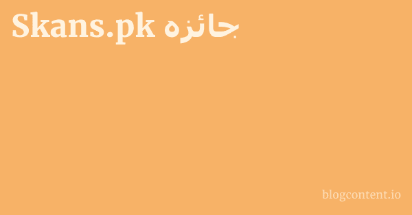Skans.pk جائزہ