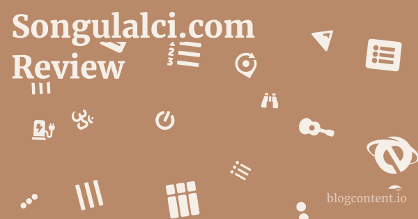 Songulalci.com Review 1 by Partners