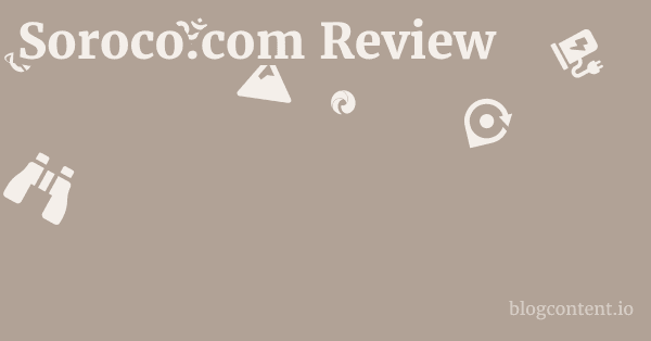 Soroco.com Review 1 by Partners
