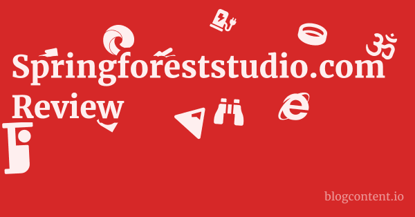 Springforeststudio.com Review 1 by Partners