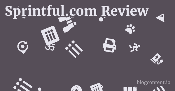 Sprintful.com Review 1 by Partners
