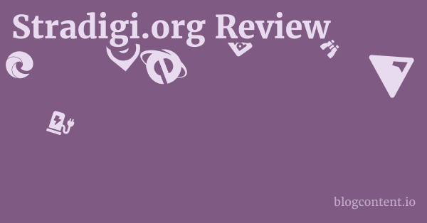 Stradigi.org Review 1 by Partners