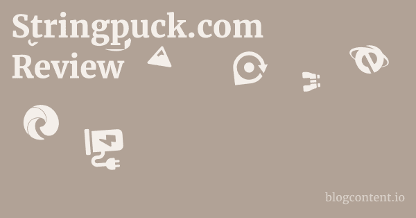 Stringpuck.com Review 1 by Partners