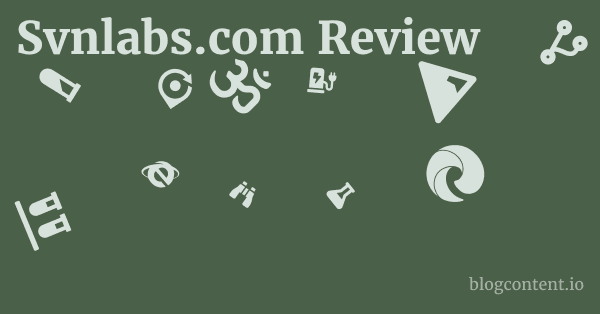Svnlabs.com Review 1 by Partners