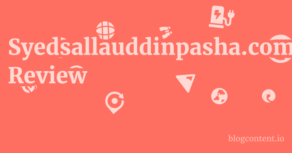 Syedsallauddinpasha.com Review 1 by Partners