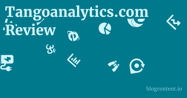 Tangoanalytics.com Review 1 by Partners