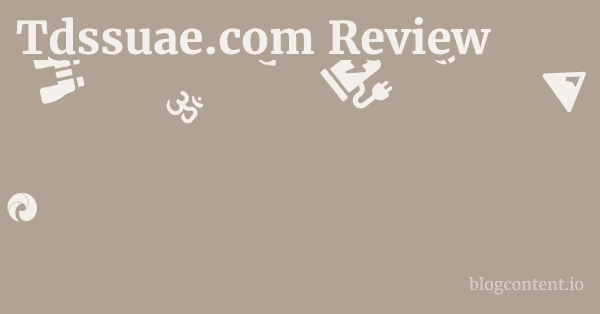 Tdssuae.com Review 1 by Partners
