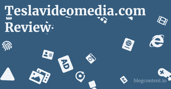 Teslavideomedia.com Review 1 by Partners