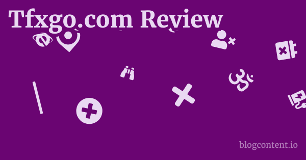 Tfxgo.com Review 1 by Partners