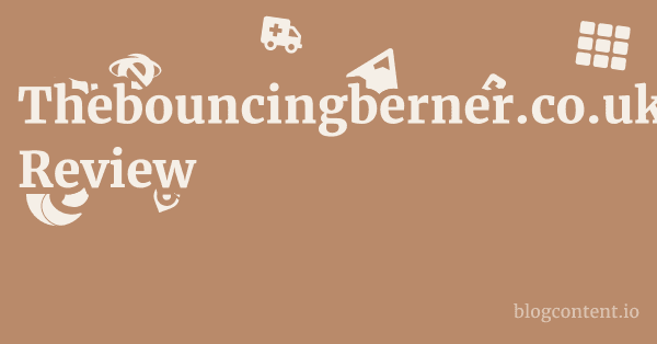 Thebouncingberner.co.uk Review 1 by Partners