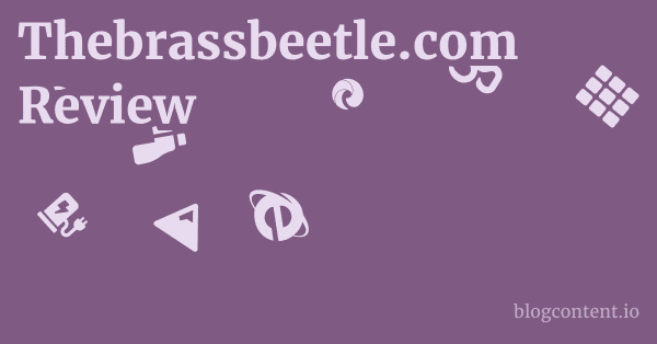 Thebrassbeetle.com Review 1 by Partners