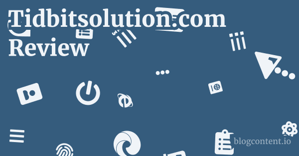 Tidbitsolution.com Review 1 by Partners