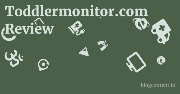 Toddlermonitor.com Review 1 by Partners